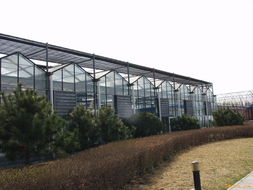 供应中空板,采光板,阳光板